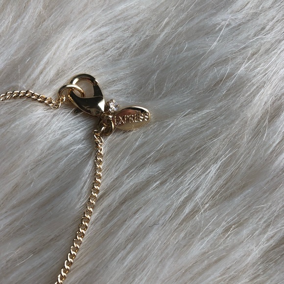 Express Necklace - Picture 3 of 3